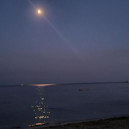 Le Tamaya Plage Charmant T2 En Rez De Jardin A 2 Pas D Une Belle Plage De Toutes Commodites Et Centre Ville Port Cavalaire-sur-Mer Luaran gambar