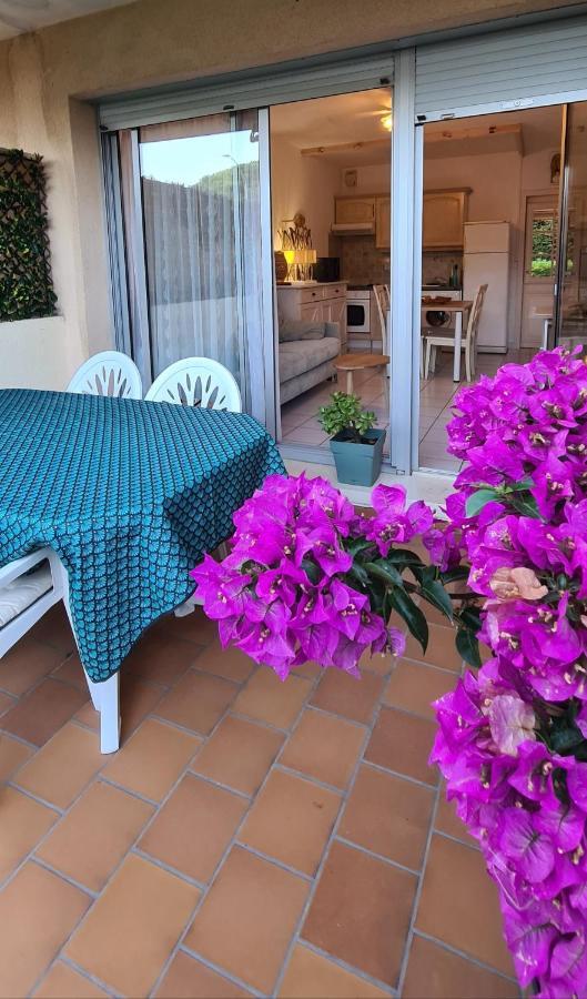 Le Tamaya Plage Charmant T2 En Rez De Jardin A 2 Pas D Une Belle Plage De Toutes Commodites Et Centre Ville Port Cavalaire-sur-Mer Luaran gambar